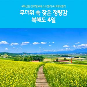 노랑풍선 북해도 4일 #온천호텔 2박 + 시내호텔 1박