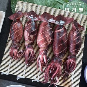 총알 오징어 원양산 비교불가 동해안 통찜용  급냉 500g/1kg 택1