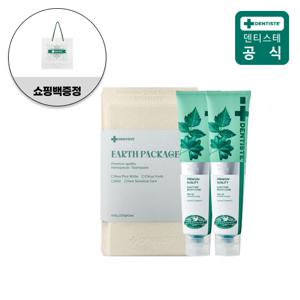 [어스패키지]덴티스테 뉴플러스화이트 치약 200g 2개+쇼핑백
