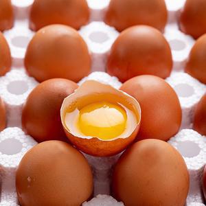 HACCP/무항생제 인증 난각번호 1번 유정란 20구/40구/60구