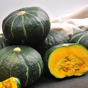 제주직송 미니 밤호박 보우짱 2kg 2.5kg 4.5kg 9kg 특품