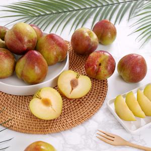 새콤달콤 노지 제철 자두 1.5kg, 2kg, 3kg 外