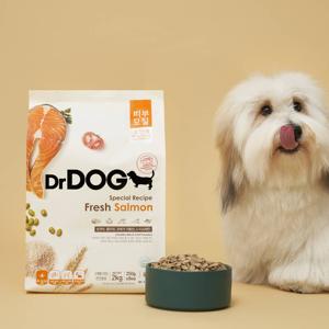 피부모질 사료 2kg