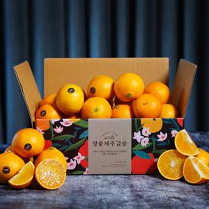새콤달콤 제주 블랙라벨 황금향 2.5kg 外