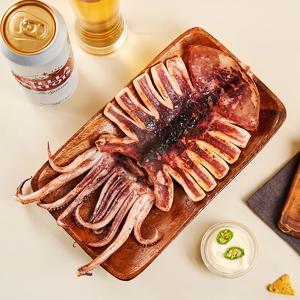포항 구룡표 당일바리 반건조 오징어 (왕특특대) 5미 1kg 원양산 외