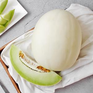 허니듀 멜론 2수 3수 6수 개당 1.8kg 이상_무료배송