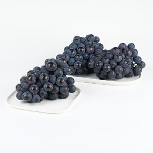 고당도 프리미엄 거봉 1송이 (600g-800g내) 알알이 꽉 찬 포도 거봉포도 고당도 선물 세트 여름 제철 과일