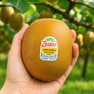 뉴질랜드 제스프리 썬 골드키위 슈퍼점보 1kg(5입) 외 2kg/4kg/5kg