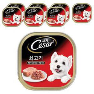 시저 어덜트 강아지 주식 캔, 소, 100g, 8개