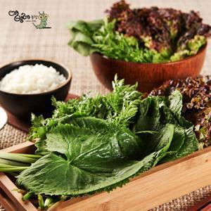 애벌레농장 신선한 모듬쌈채소 1kg 매일수확