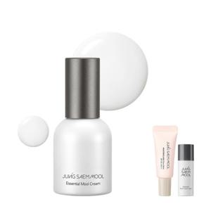 정샘물 에센셜 물 크림 30ml