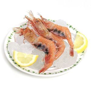 단새우 횟감용 아마애비 홍새우 국내산 1kg 45-50미 특대사이즈