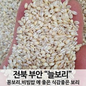 국산 햇 늘보리쌀 꽁보리 비빔밥에 좋은 25년 햇곡 출하 부안 산지직송