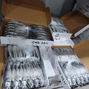 국산 다대포 대용량 실속 자반고등어 간고등어 48마리 24손 업소용