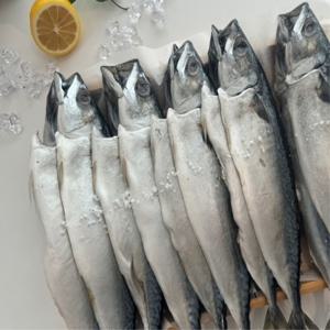 부산 자반고등어  10미 대짜 간고등어/ 30cm - 33cm 내외/손질생선 구이조림/국산 자반고등어/밥반찬