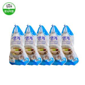 참프레 백숙용 냉동 영계 500g 5봉 삼계탕용 삼계닭 백숙용 생닭