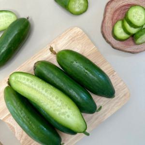 오이 군위 미니오이 스낵오이 산지직송 1kg 1+1 행사/ 무료배송 이벤트