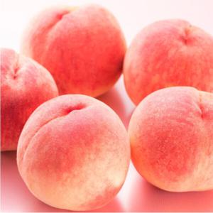 산지직송 딱딱이 백도복숭아 말랑이 천도복숭아 황도복숭아 1kg 1.5kg 특별할인 행사중