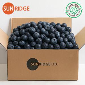(신선집중) 썬리지 항공직송 미국/캐나다산 생블루베리 125g 4+1팩증정 총 5팩 대사이즈 (1팩당 3500원)