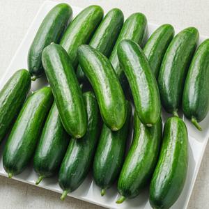 미니오이 꼬마 스낵 미니스탑 1kg 2kg
