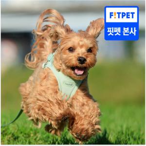 헤이테일 에어워크 가벼운 하네스+리드줄 SET (XS-L)