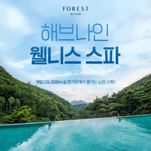 포레스트 리솜 해브나인 웰니스 스파 이용권/당일사용 가능/리솜/리솜스파/제천가볼만한곳