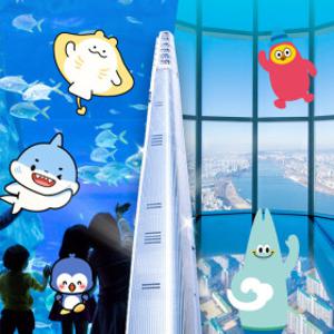 롯데월드 아쿠아리움+서울스카이PKG 7월