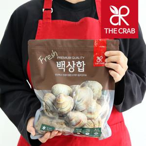 제철 백상합 백합 조개 5kg 생합 해감 캠핑 조개구이 당일조업 / 무료배송 초특가