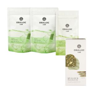 오설록 찬물녹차 기획 (50입) + 말차 비스코티 칩 100g