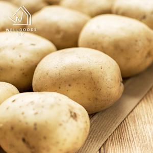 [웰굿] 25년산 국내산 노지 수미감자 2kg(왕특,개당180-250g)
