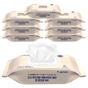 국내제조 유한그린텍 백의민족 프리미엄 물티슈 60매 8개 두꺼운