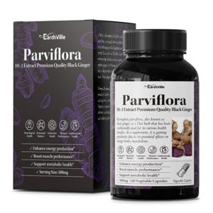 어스빌 파비플로라 흑생강 블랙진저 10배농축 추출물 500mg 120베지캡슐 1병