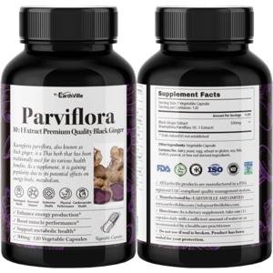 어스빌 파비플로라 흑생강 블랙진저 10배농축 추출물 500mg 120베지캡슐 2병