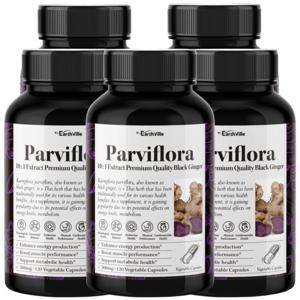 어스빌 파비플로라 흑생강 블랙진저 10배농축 추출물 500mg 120베지캡슐 5병