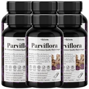 어스빌 파비플로라 흑생강 블랙진저 10배농축 추출물 500mg 120베지캡슐 6병