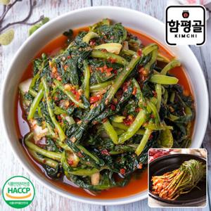 [함평골김치] 감칠맛이 풍부한 전라도 열무김치3kg+파김치2kg