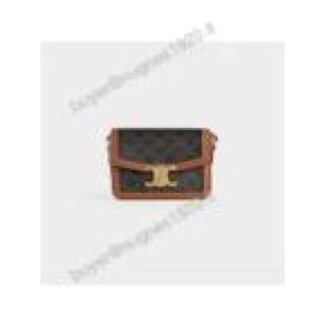 CELINE Teen Triomphe canvas Triomphe shoulder bag 188882BZ4