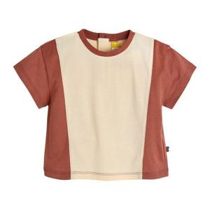 [모이몰른]SOFT&컬러콤보반팔티셔츠 M252TSF05P