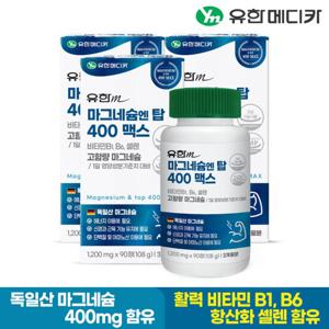 유한메디카 마그네슘 엔 탑 400 맥스 90정x3개(9개월분)