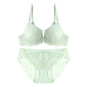 [예스]레이스 풀컵브라 레이스팬티세트 YSWBZ301YSWPZ301