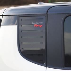 레이 카본스타일 C필러 스포츠플레이트