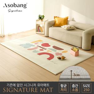 [아소방] 시그니처 유아 놀이방매트 페어리 250 (250x150x2cm)
