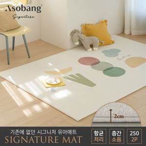 [아소방] 2P 시그니처 유아 놀이방매트 클로에  250 (250x150x2cm)