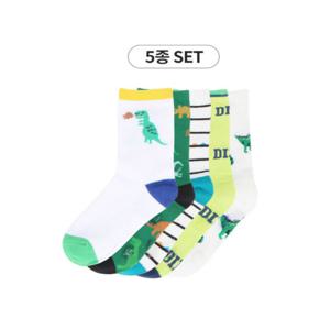 [토박스][토박스]스타일노리터 다이노 삭스 5pack (TBKCFNTASC21)