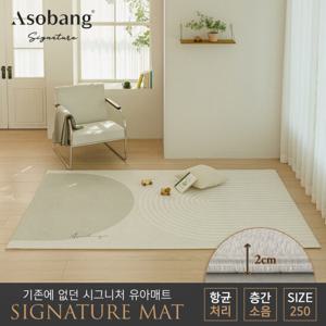 [아소방] 시그니처 유아 놀이방매트 오르빗 250 (250x150x2cm)
