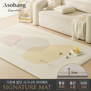 [아소방] 시그니처 유아 놀이방매트 블리스 250 (250x150x2cm)