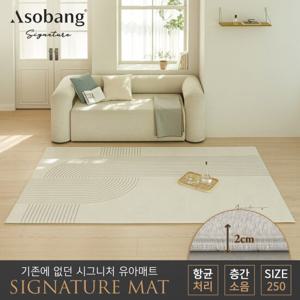 [아소방] 시그니처 유아 놀이방매트 플로우 250 (250x150x2cm)