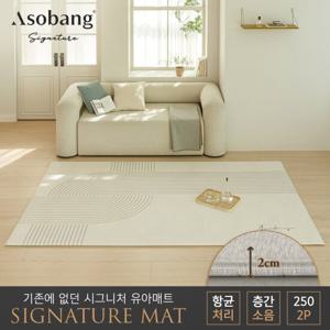 [아소방] 2P 시그니처 유아 놀이방매트 플로우  250 (250x150x2cm)