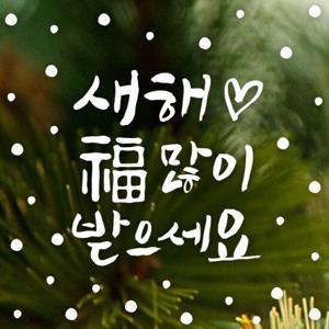 크리스마스 눈꽃 스티커 장식/캘리 새해복많이