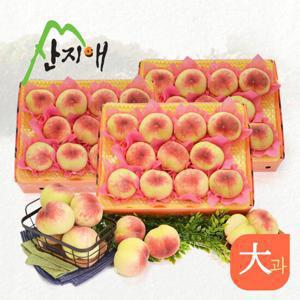산지애 아삭아삭 햇복숭아 총 9kg (3kg*3box)